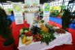 Romania poate fi un furnizor important de produse ecologice pentru piata germana