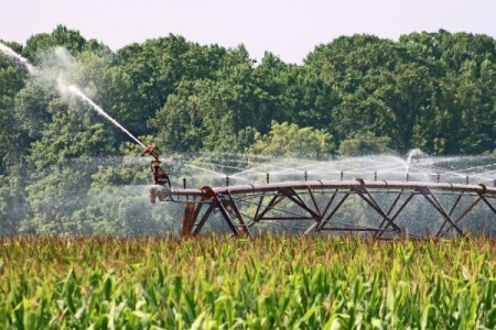 Fermierii vor avea acces la apa pentru irigatii mai devreme fata de alti ani. 1.289.381 ha, suprafata potential irigabila