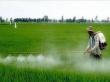 MADR va interzice utilizarea de pesticide pe anumite suprefete agricole