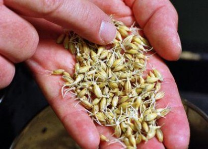 Legea privind reorganizarea Ministerului Agriculturii a fost retrimisa la Parlament