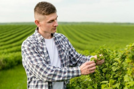 Instalarea tinerilor fermieri: Noi informatii despre Ghidul solicitantului