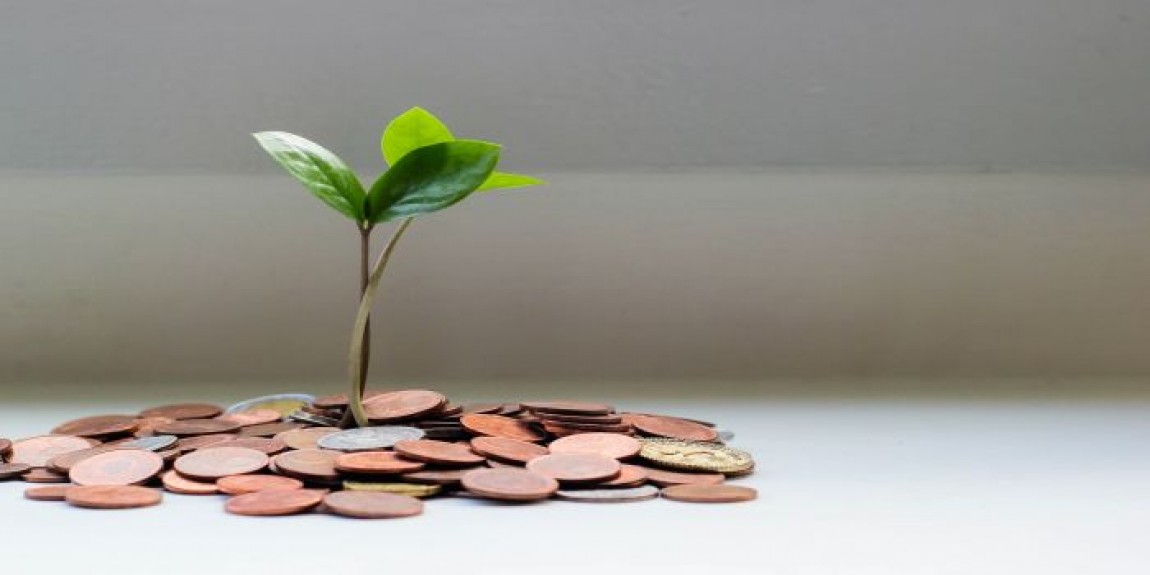 Programul INVESTALIM: Firmele vor imparti 600 de milioane de euro