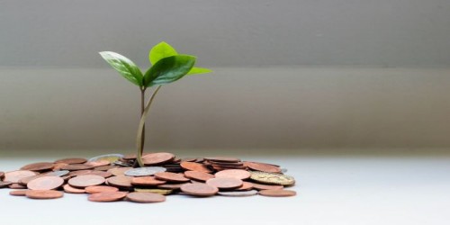 Programul INVESTALIM: Firmele vor imparti 600 de milioane de euro