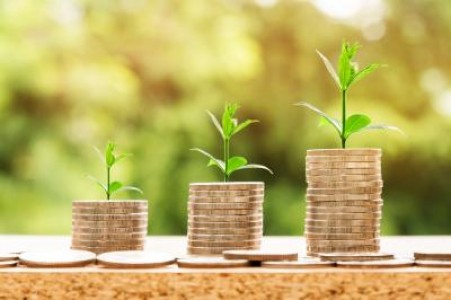 Moisa, BT: In urmatorii ani se va investi intens in agricultura