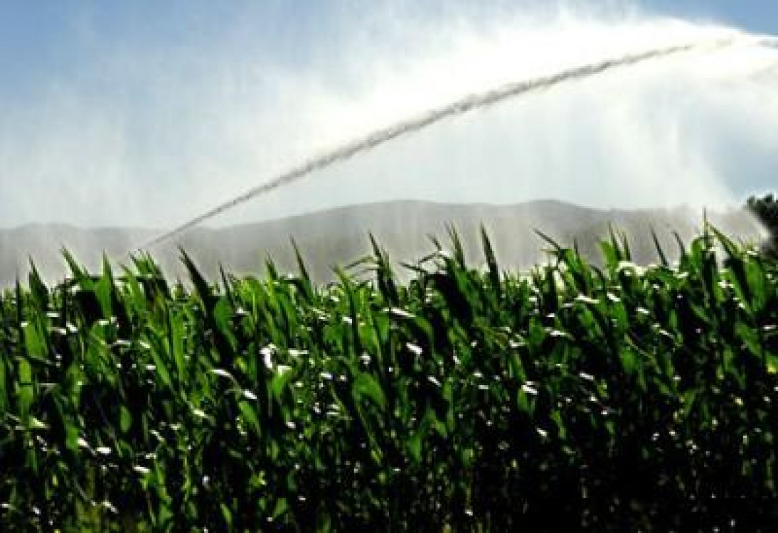 Iarasi promisiuni: despre reabilitarea sistemului national de irigatii