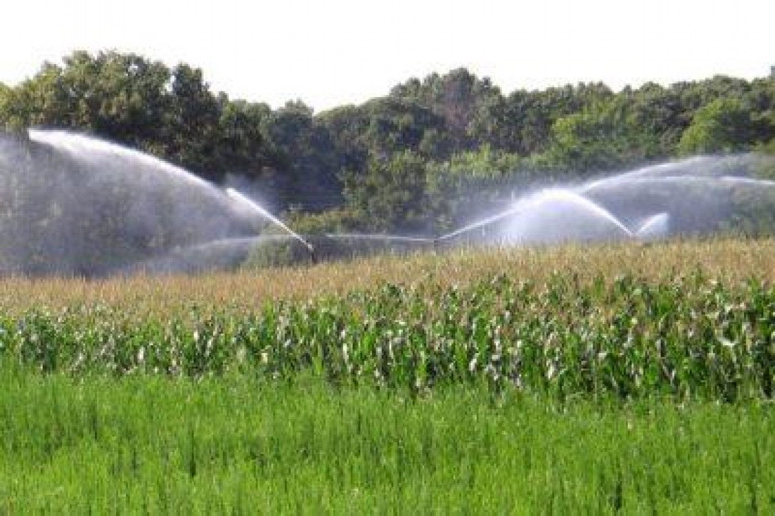 Ministerul Agriculturii vrea inca 800.000 de hectare irigate