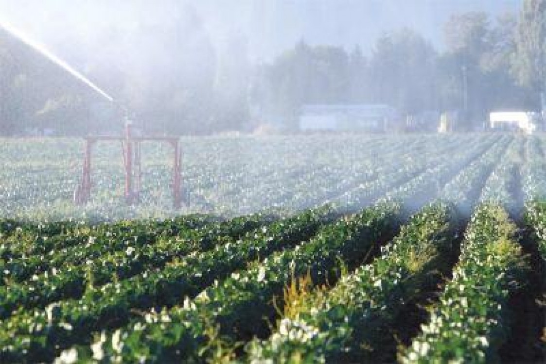 Ministerul anunta ca aduce apa mai aproape de cerintele fermierilor