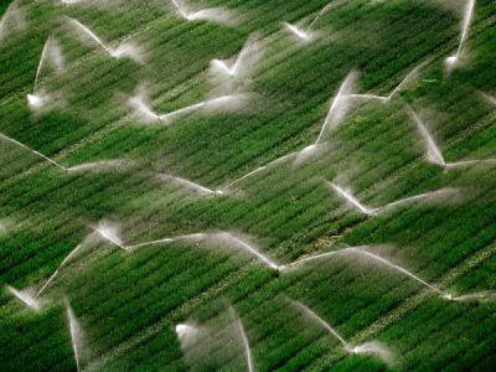 ANAR: Romania are, in prezent, o rezerva suficienta de apa pentru populatie si pentru irigatii