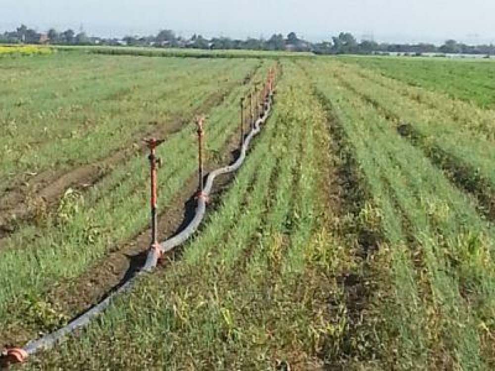 Sistemele de irigatii vor fi indispensabile in acest an, din cauza secetei