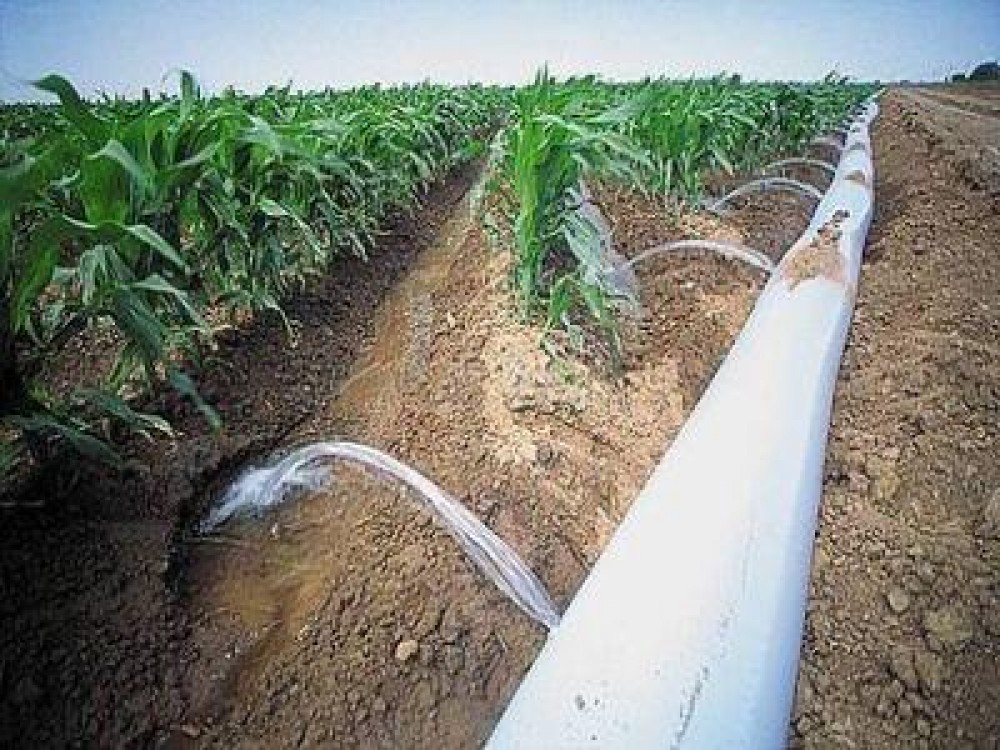 Fermierii beneficiaza in continuare de apa gratuit pentru irigatii