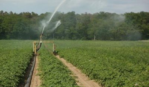 MADR: Din 600.000 de ha irigabile in Romania, dar la 133.000 ajunge apa