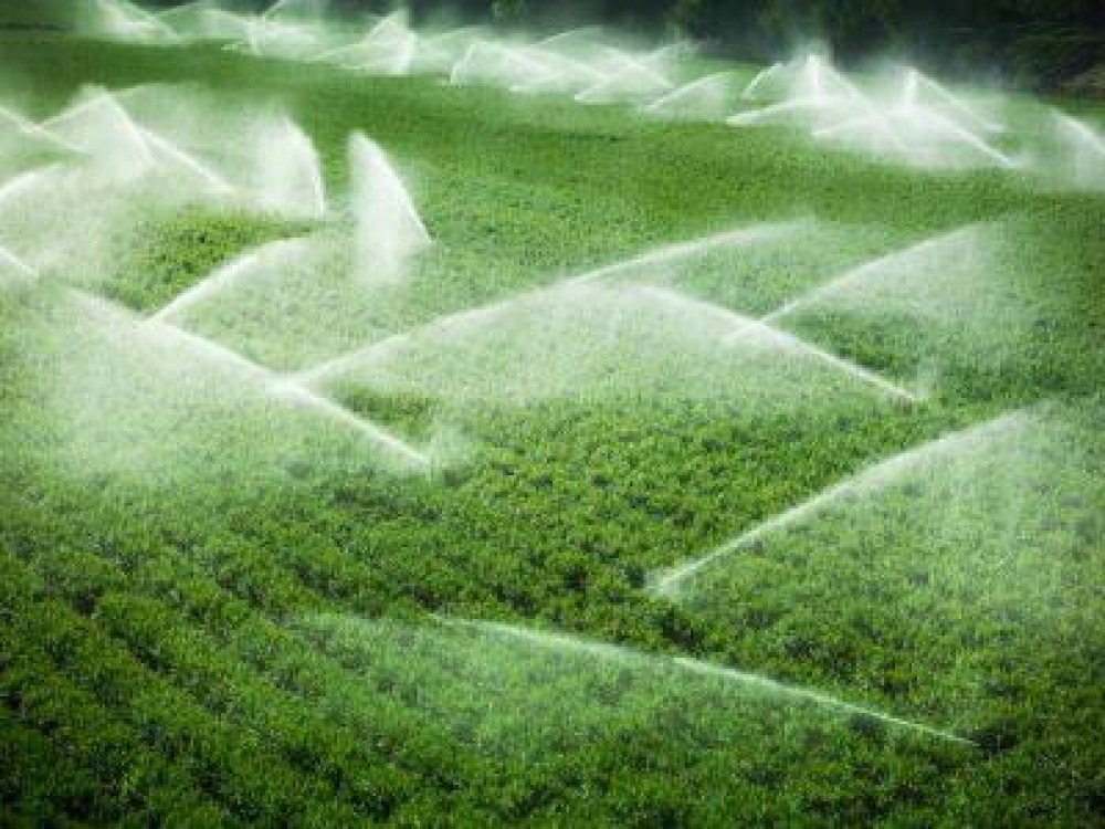 Ce trebuie sa stie fermierii care vor sa obtina finantari pentru sistemele de irgatii