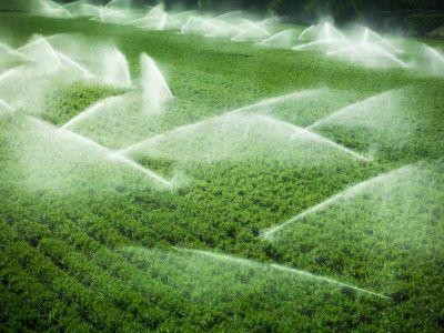 Ce trebuie sa stie fermierii care vor sa obtina finantari pentru sistemele de irgatii