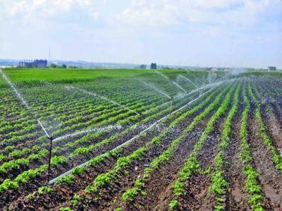 Suprafata agricola care poate fi irigata in Romania depasi 1,8 milioane de hectare