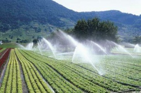 Infrastructura secundara de irigatii va fi refacuta complet pana la finele anului 2016