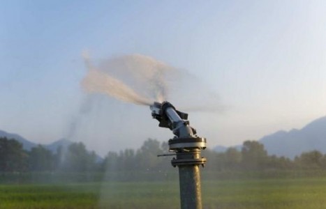 Daniel Constantin: Avem fonduri europene pentru reabilitarea intregii retele secundare de irigatii