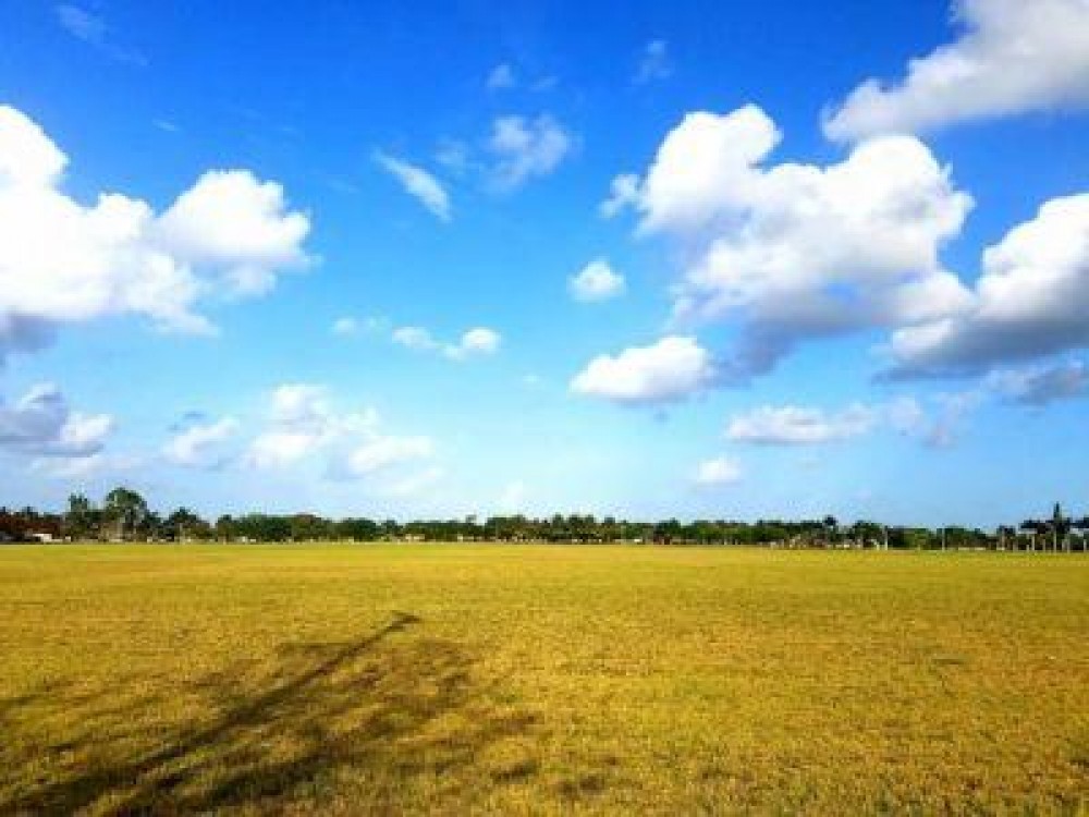 Buletin agrometeorologic pentru perioada 7-13 iulie