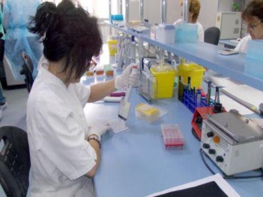 Romania va forma experti moldoveni in domeniul sanatatii animalelor