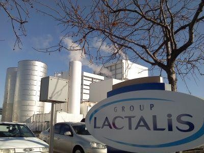Grupul Lactalis a primit unda verde pentru achizitionarea Covalact SA si Lactate Harghita SA