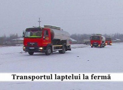 Pierderi de milioane pentru industria laptelui, din cauza viscolului