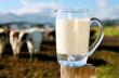 Doar producatorii vor putea sa detina automate de vanzare a laptelui