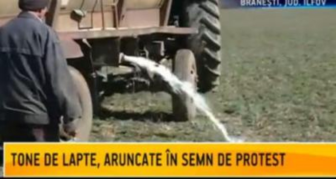 Protest al producatorilor de lapte, acestia cer demisia ministrului agriculturii
