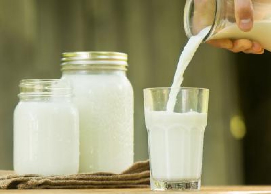 Vesti bune! Producem mai mult lapte si importam mai putin