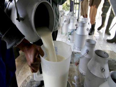 programe-guvernamentale-in-sprijinul-producatorilor-de-lapte