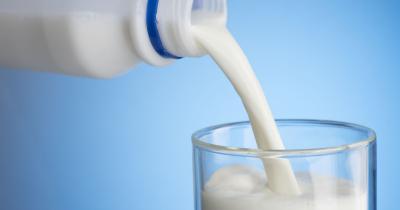 ins-productia-de-lapte-a-crescut-in-2019-iar-importul-a-scazut