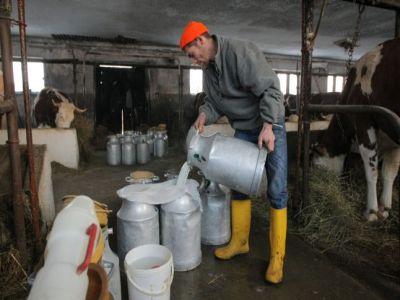 dacian-ciolos-exista-toate-instrumentele-necesare-la-nivelul-ue-pentru-ca-romania-sa-i-sprijine-pe-producatorii-de-lapte