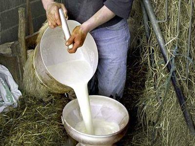 problema-crizei-laptelui-dezbatuta-la-reuniunea-consiliului-ministrilor-agriculturii-din-uniunea-europeana