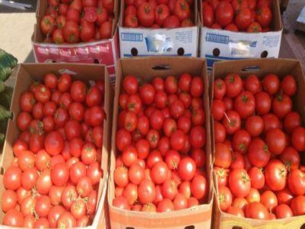 MADR garanteaza pentru calitatea rosiilor romanesti de pe piata