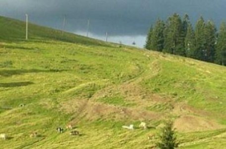 Reprezentantii Asociatiei Comunelor au discutat cu Daniel Botanoiu despre certificatul de producator, codul fiscal si legea pajistilor