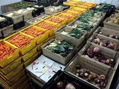 Importurile de legume si fructe ale Romaniei, de sase ori mai mari decat exporturile