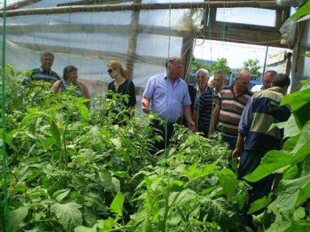 Vrancea: Beneficiarii fondurilor europene isi impartasesc experienta prin intermediul Camerei Agricole