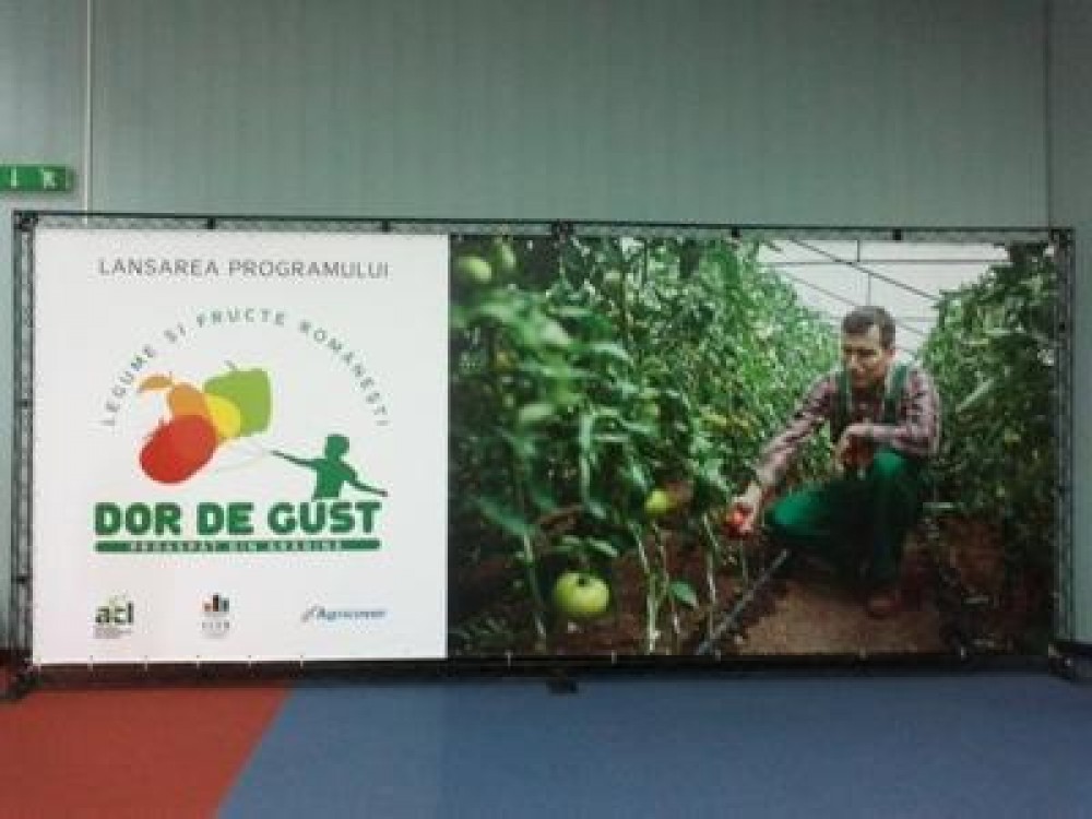 Dor de gust