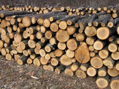 Romsilva va livra circa un milion de metri cubi de lemn de foc pana la sfarsitul anului