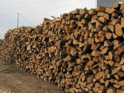 Romsilva scoate pe piata peste un milion de metri cubi de lemn de foc