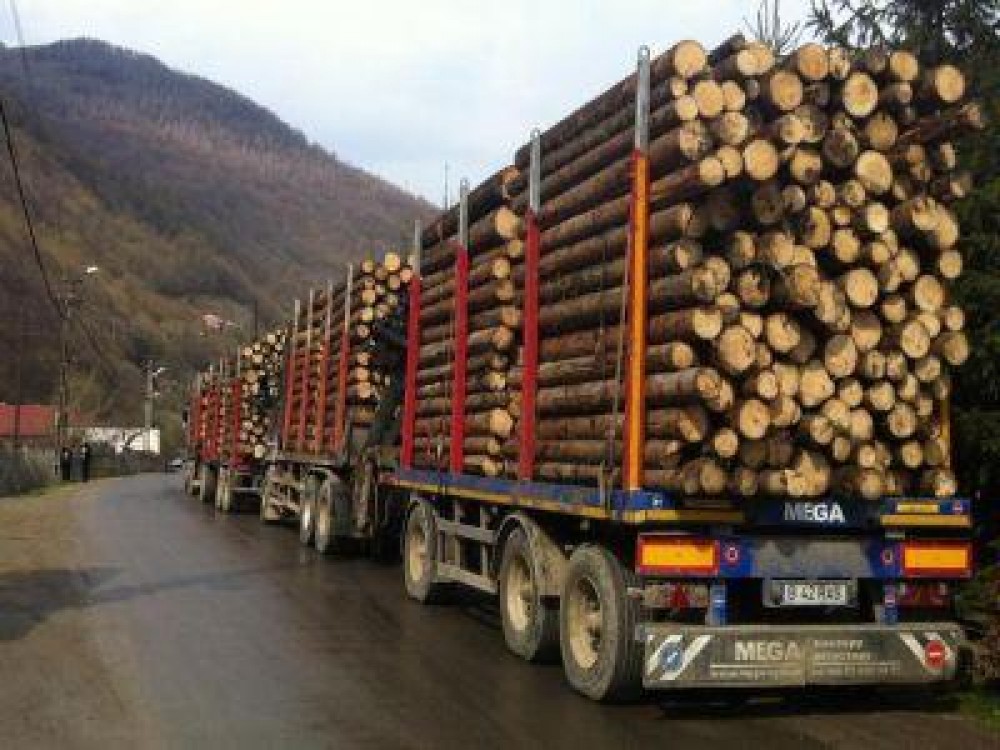 Romania a devenit in premiera importator net de lemn