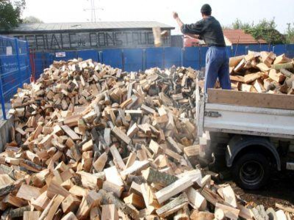 Senatul a aprobat infiintarea Garzilor Forestiere