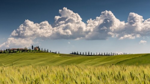 ADS: Licitatie cu strigare pentru peste 10.000 de hectare de teren agricol