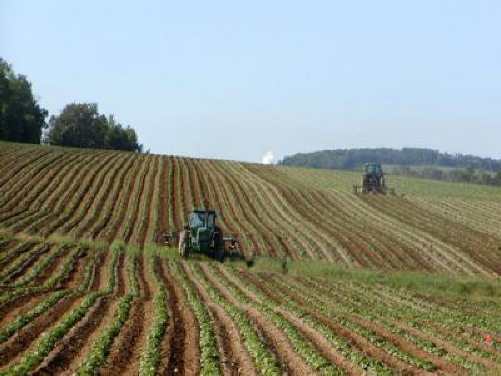 Ponta: Principalele provocari vor fi reprezentate de siguranta energetica si de siguranta alimentara