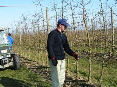 AFIR finanteaza dezvoltarea proiectelor pilot si a noilor produse prin PNDR 2020