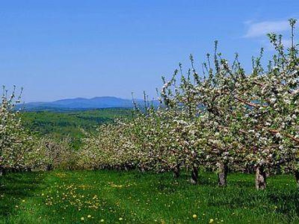 Buletin agrometeorologic pentru perioada 5 - 11 mai
