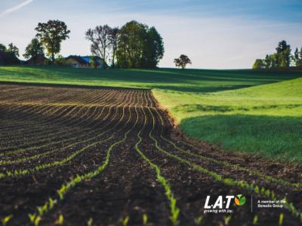 Business Review organizeaza in 15 noiembrie conferinta Focus on Agriculture