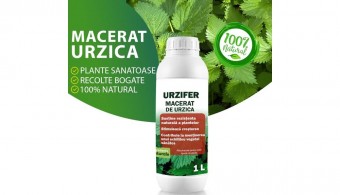Maceratul de urzica. Secretele fertilizantului miraculos pentru o gradina sanatoasa