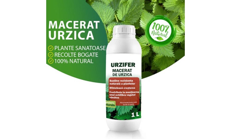 Maceratul de urzica. Secretele fertilizantului miraculos pentru o gradina sanatoasa