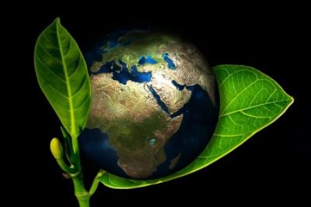 MADR prioritizeaza competitivitatea in strategie pentru agricultura ecologica