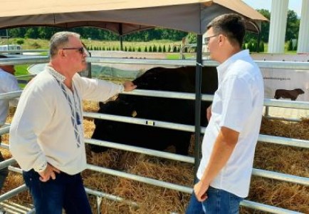 MADR: APIA va demara Campania de plata in avans in octombrie