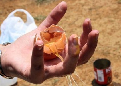 MADR: Risipa alimentara e o problema. Fermierii pot ajuta
